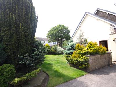 Picture 29